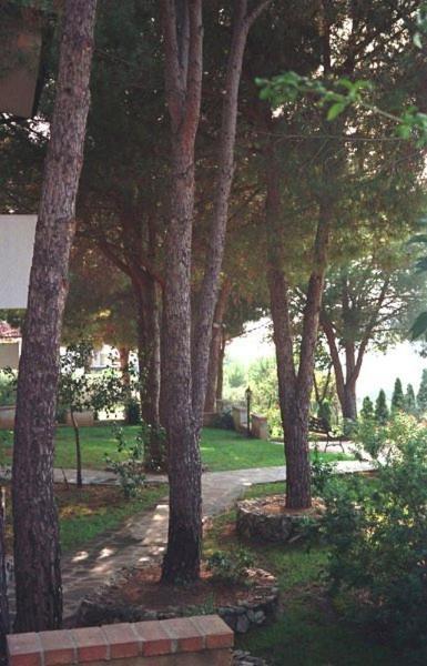 Villaggio Pineta Petto Bianco 카포바티카노 외부 사진