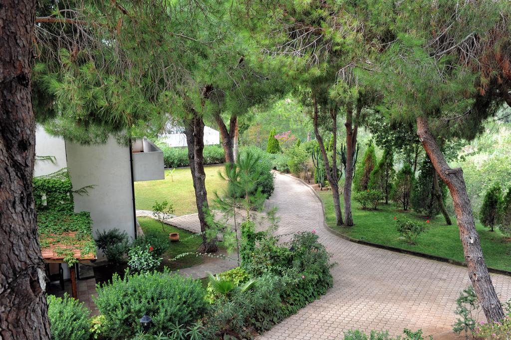 Villaggio Pineta Petto Bianco 카포바티카노 외부 사진